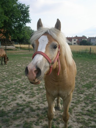 Aida, dcera Hvězdy 5